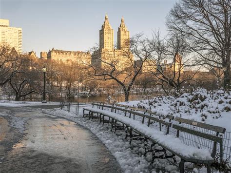 Central Park New York City Light Snow Stock Photo Image Of Traces