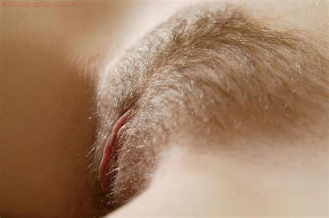 Women With Hairy Muffs Page 121 Literotica Discussion Board
