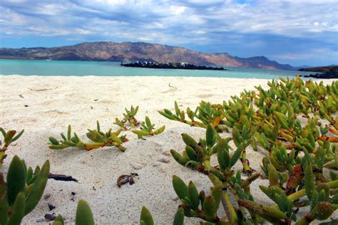 El Parque Nacional Bahía De Loreto Es Un área Natural Protegida De