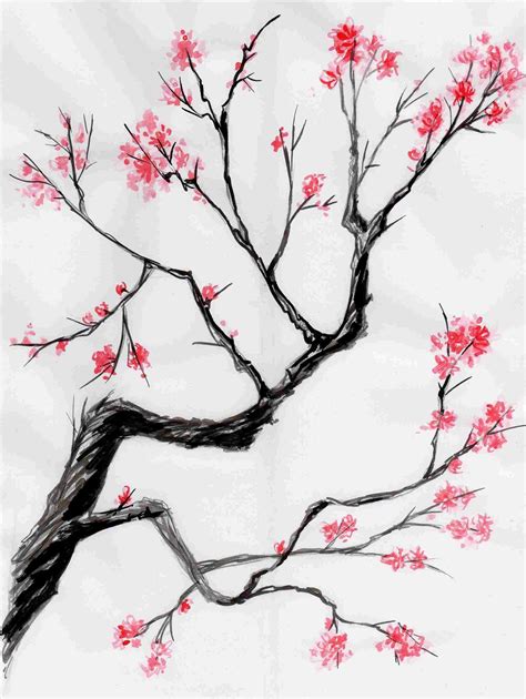 Cherry Blossom Tree Branch Drawing At Explore