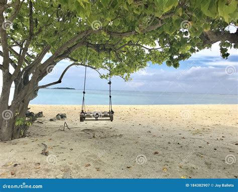 Maldives Stock Image Image Of Maldives Swing Beach 184382907