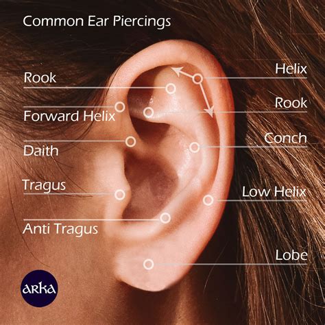 Types Of Ear Piercings Ear Piercing Chart Ipad Case Skin