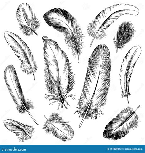 Feather Set Hand Drawn Vector Illustration Stock Vector