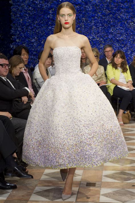 La Maison Sartorie Damber Raf Simons For Dior The 2012 Autumn