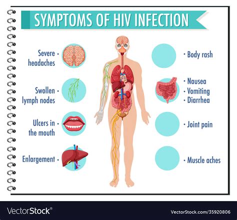 Symptoms Hiv Infection Infographic Royalty Free Vector Image