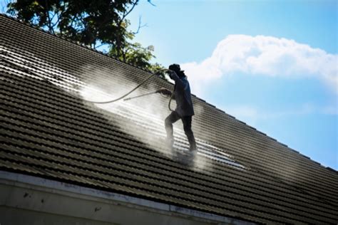 The Importance Of Regular Roof Cleaning Why You Shouldnt Neglect Your