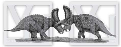 Triceratops Horridus By T On Deviantart