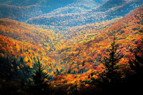 Fall Foliage Great Smoky Mountains Painted Photograph By