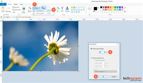 The image will change its physical dimensions as soon as you click on resize file. this option is located to the right of the file size text box and will try again! 3 Best Tools to Resize Images in Windows 10 - Resize ...