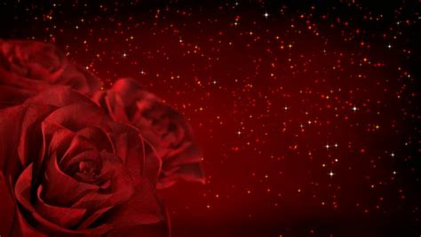 Rotating Red Roses With Glitter Stock Footage Video 100 Royalty Free