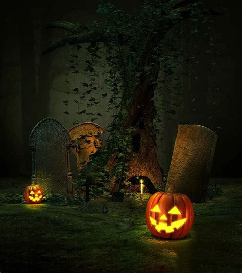 Night Forest Pumpkin Halloween Backdrops For Photo Studio Dbd 19136 In