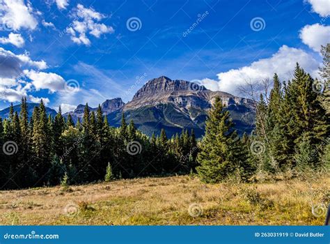 Hillsdale Meadows Banff National Park Alberta Canada Stock Image
