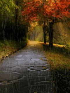 Cozy rainy day, rainy night, wallpaper earth, fall wallpaper, rain photography, autumn beauty of nature. rain animations GIFs Search | Find, Make & Share Gfycat GIFs