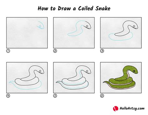 How To Draw A Coiled Snake Helloartsy