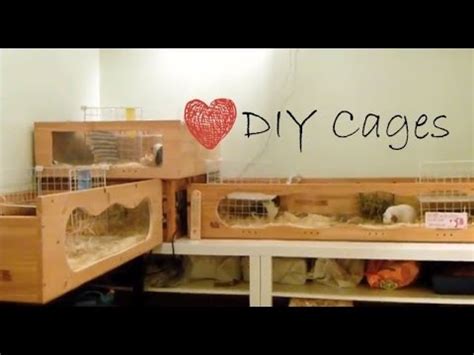 Diy Guinea Pig Cage How I Built My New Cage Atelier Yuwa Ciao Jp