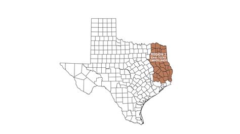 Texas Regions Texas Ornithological Society