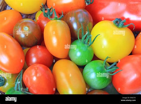 Various Cultivars Hi Res Stock Photography And Images Alamy