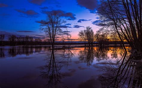 Canada Ontario Lake Reflection Trees Sunset Beautiful Scenery