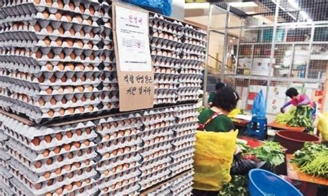 살충제 계란 아직도 존재한다지난 22일부터 총 6곳 농가 적발 네이트 뉴스