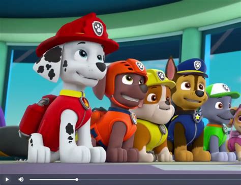 Image Marshall Rubble Chase Rocky And Zuma In 406a 1png Paw