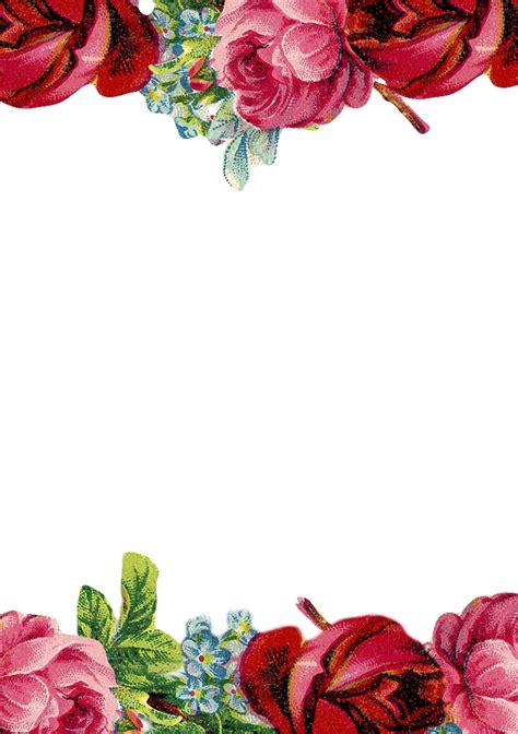 Free Floral Borders For Word Documents Templates Forlesshor