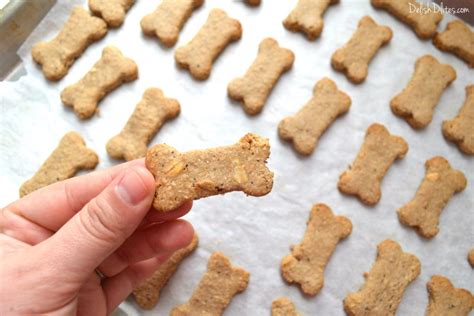 Oatmeal Peanut Butter And Blueberry Dog Treats Recipe Dog Biscuit