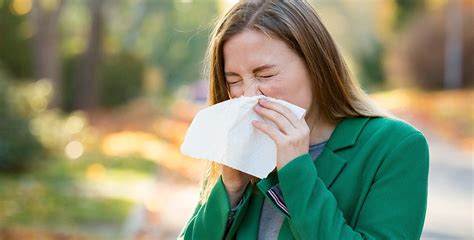 What Are The Most Common Fall Allergies Bon Secours Blog