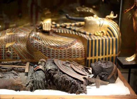 The Mummy And The Sarcophagus Of King Tutankhamun Egyptian Museum