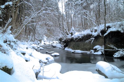 Free Images Landscape Tree Nature Creek Branch Snow Winter