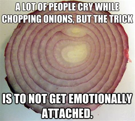 Chopping Onions I Love To Laugh Seriously Funny Make Me Laugh