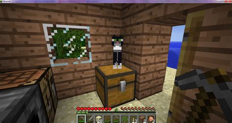 Cat won't stay off chest : Minecraft