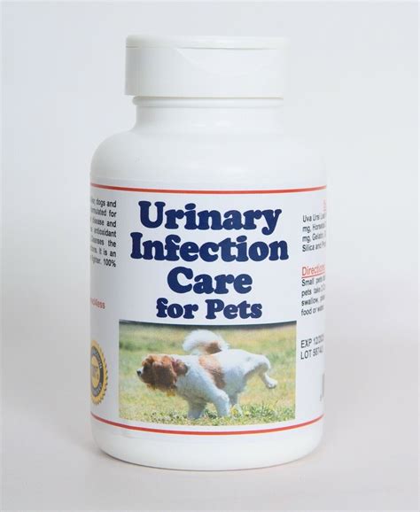 Urinary Infection Care For Pets 100 Capsules Made In Usa Dogs And