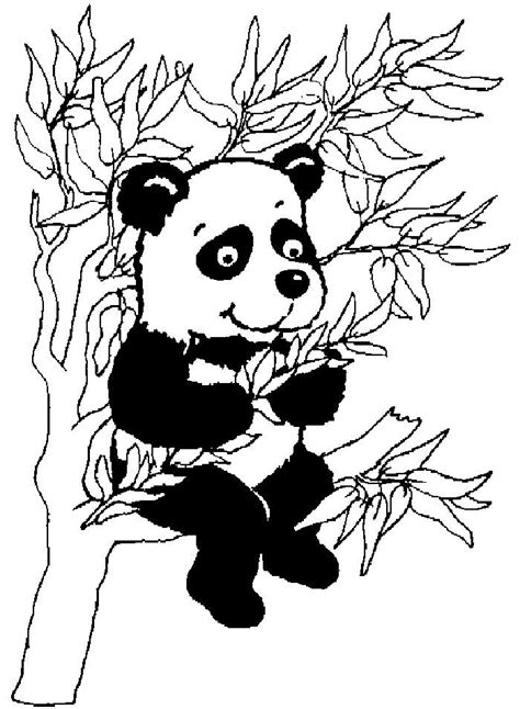 Cute Baby Panda Coloring Pages in 2020 | Panda coloring pages, Animal