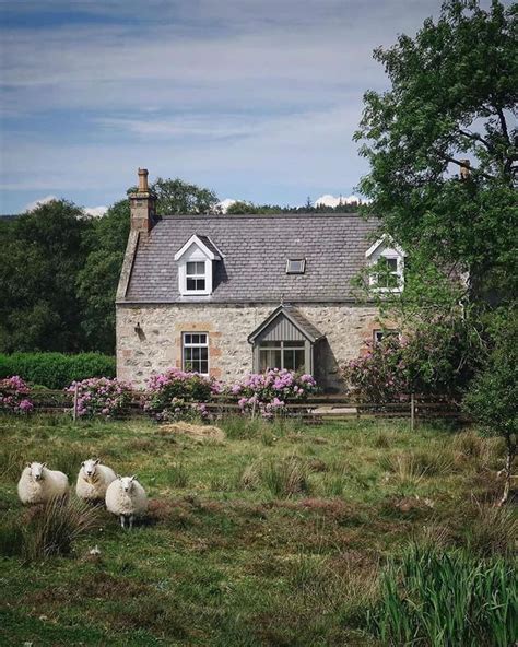 Pin By Rita Leydon On Sheep Farm Scottish Cottages Countryside