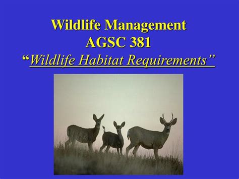 PPT - Wildlife Management AGSC 381 