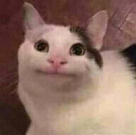 Check spelling or type a new query. Imágenes random | •Meme• Amino