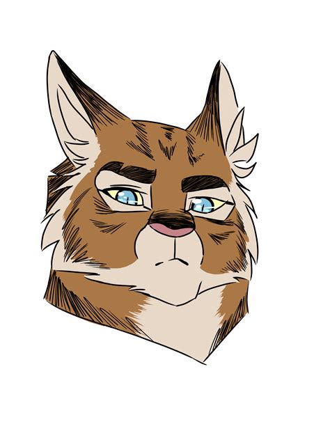 Hawkfrost I Feel Like He Would Have His Mamas Prettiness Rthedawnpatrol