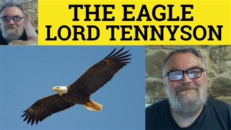 The Eagle Poem By Alfred Lord Tennyson Summary Analysis Reading