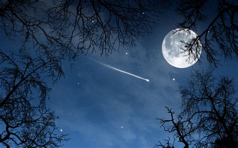 Обои пейзаж ночь луна месяц звёзды деревья природа космос на
