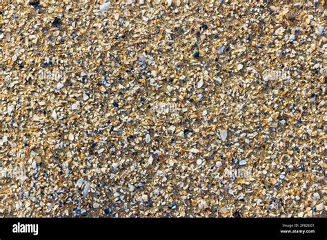 Detail Of Sand And Shell Fragments On A Beach Stock Photo Alamy