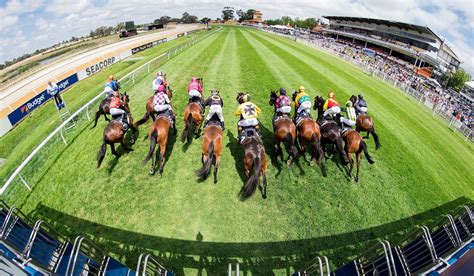 Ascot Racecourse Perth 2022 Tutto Quello Che Cè Da Sapere