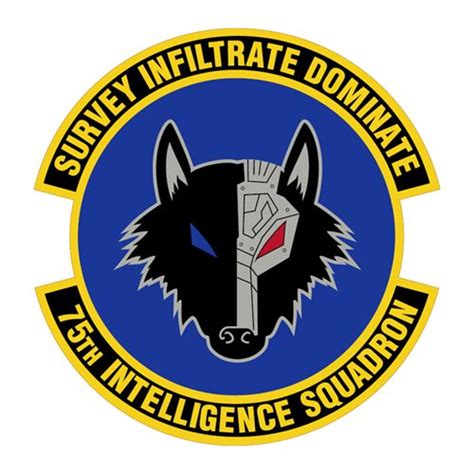 75 Is Patch 75th Intelligence Squadron Patches