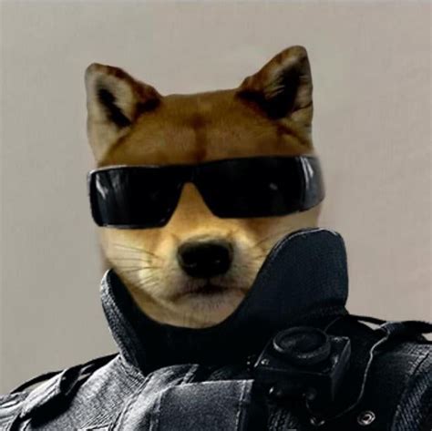 Pulse Anyone Dogwifhatgang Funny Profile Pictures Dog Pfp Cute
