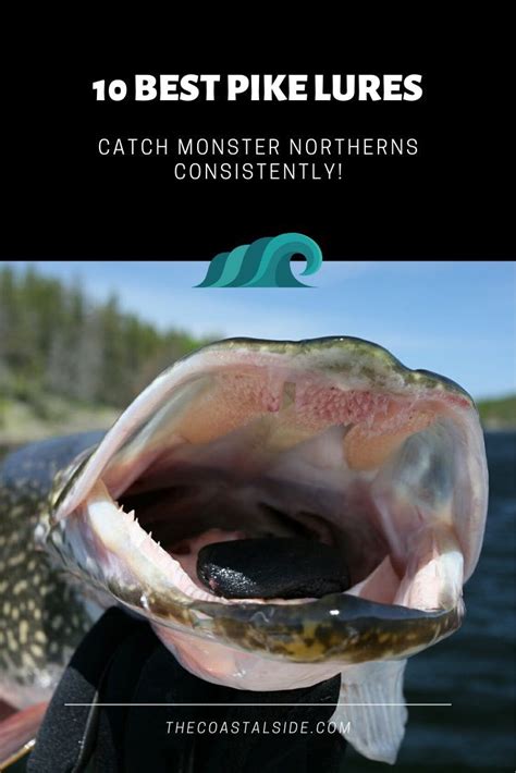10 Best Pike Lures Catch Monster Northerns The Coastal Side