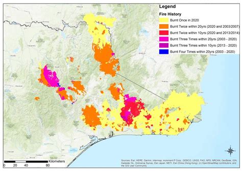 Why Australias Severe Bushfires May Be Bad News For Tree Regeneration