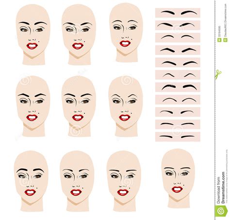 Eyebrow Shape Stock Vector Illustration Of Expression