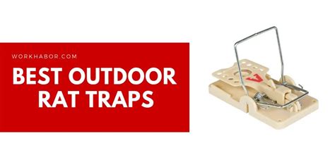 5 Of Be Best Outdoor Rat Traps For A Rodent Free Garden