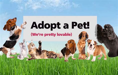 In addition to donating 5 million meals to pets in need through iams™ bowls of love, we've compiled downloadable materials that will enhance your adoption events. Wishbone-Adopt-homepg-2
