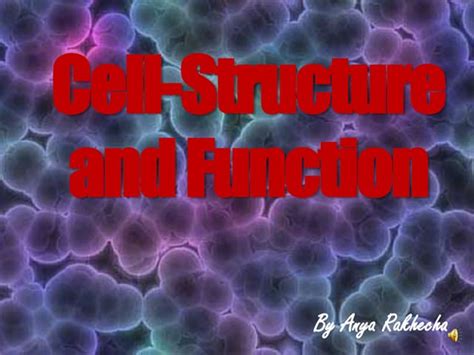 Cell Structure And Function Ppt