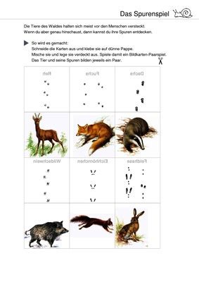 (alternativ rechte maustaste und tierspuren drucken tierspuren des waldes bedruckbar. Tierspuren im Wald - Das Spurenspiel: Verlage der ...